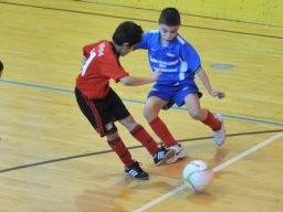mini-DSC_6910